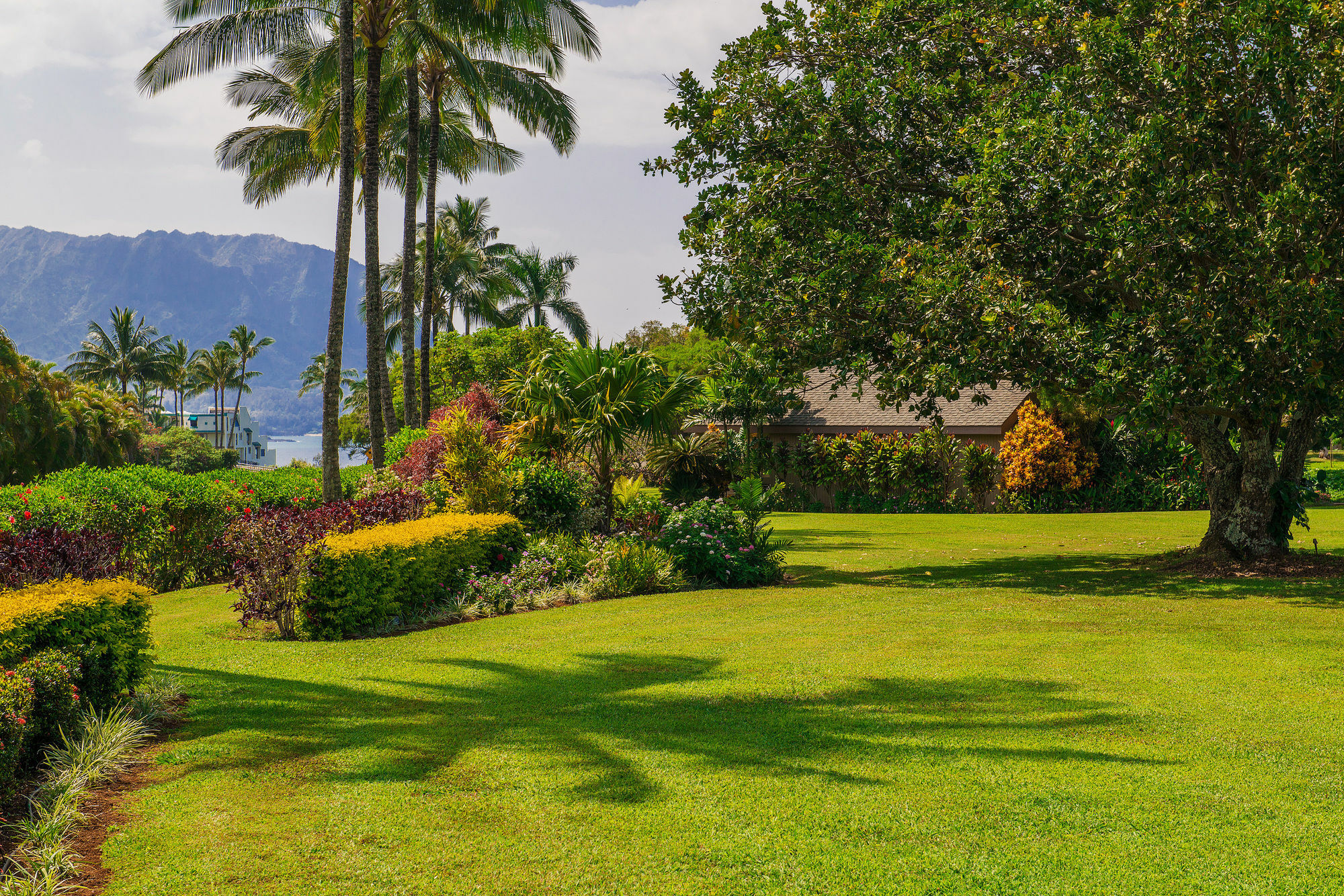 Princeville Oceanfront Villas Kauai المظهر الخارجي الصورة